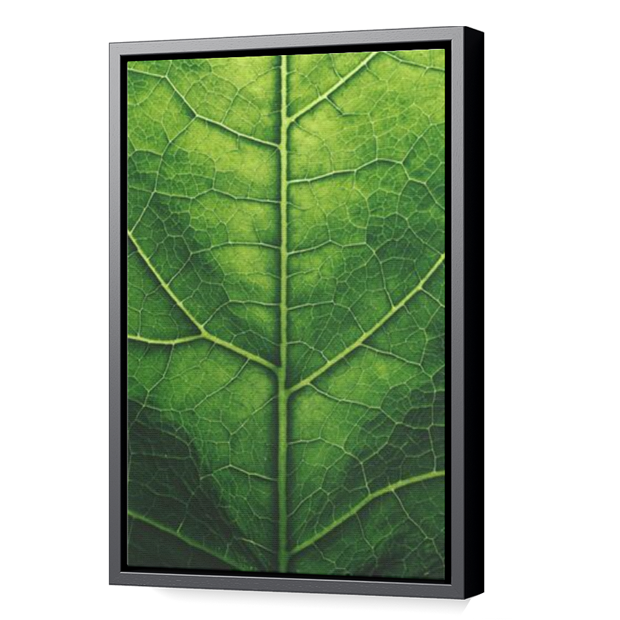 Thumbnail for Canvas - Black Floating Frame