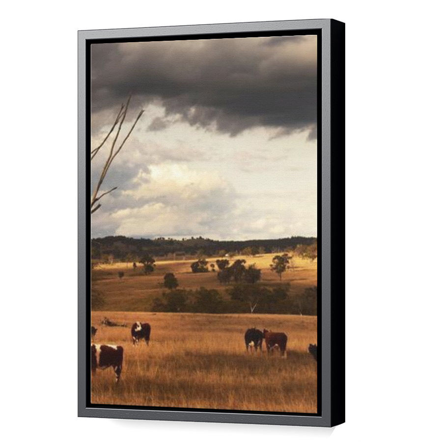 Thumbnail for Canvas - Black Floating Frame