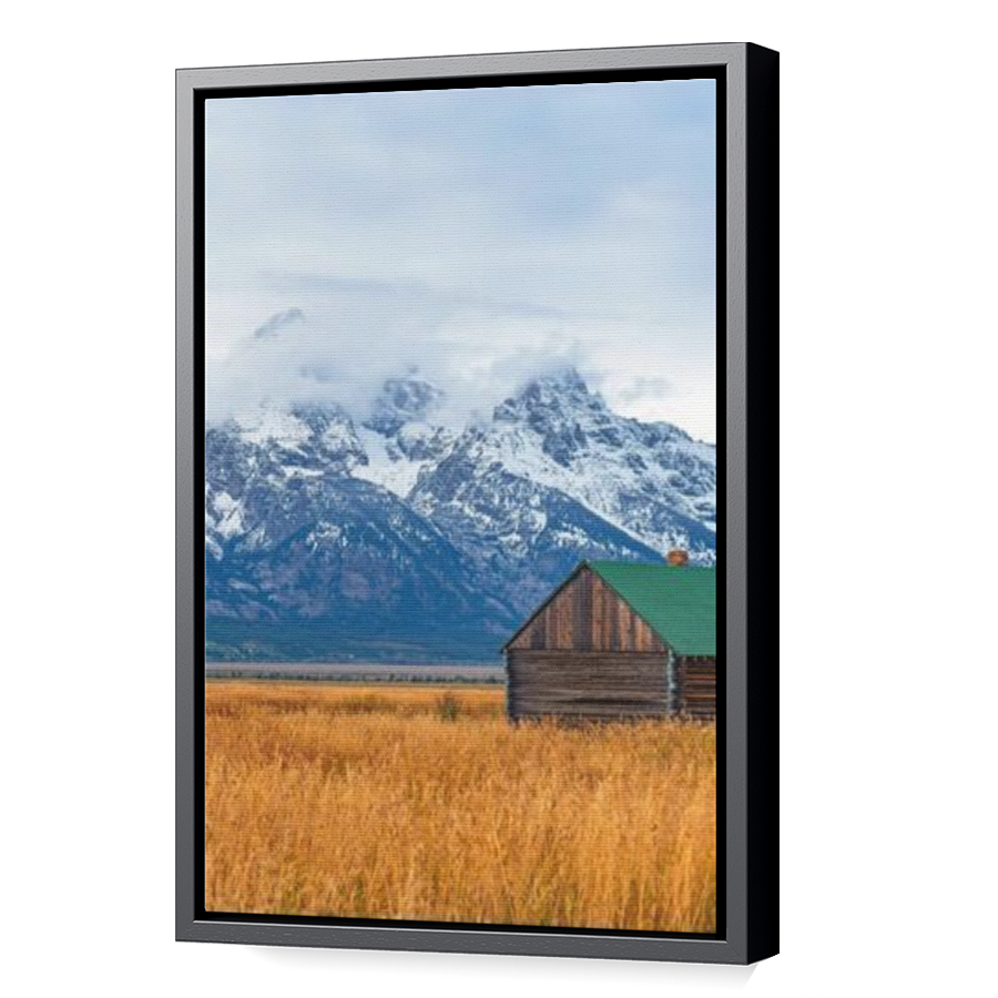 Thumbnail for Canvas - Black Floating Frame
