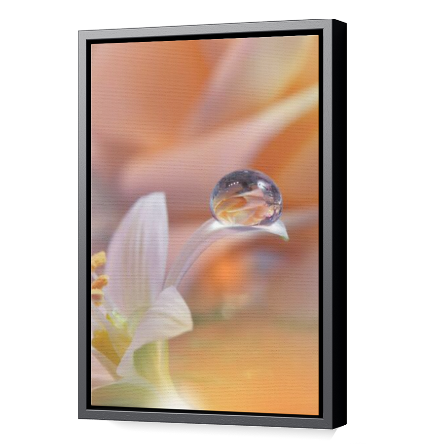 Thumbnail for Canvas - Black Floating Frame