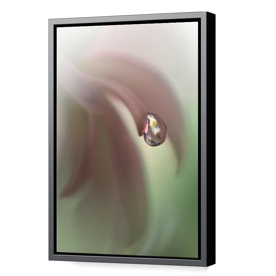 Thumbnail for Canvas - Black Floating Frame