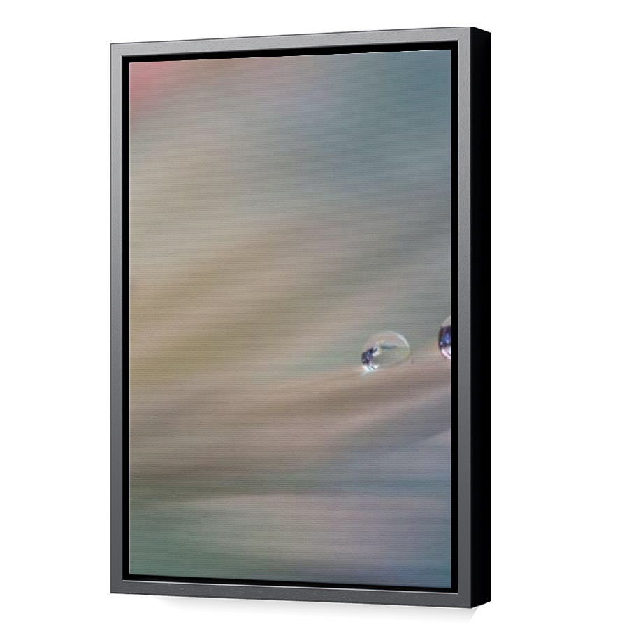 Thumbnail for Canvas - Black Floating Frame