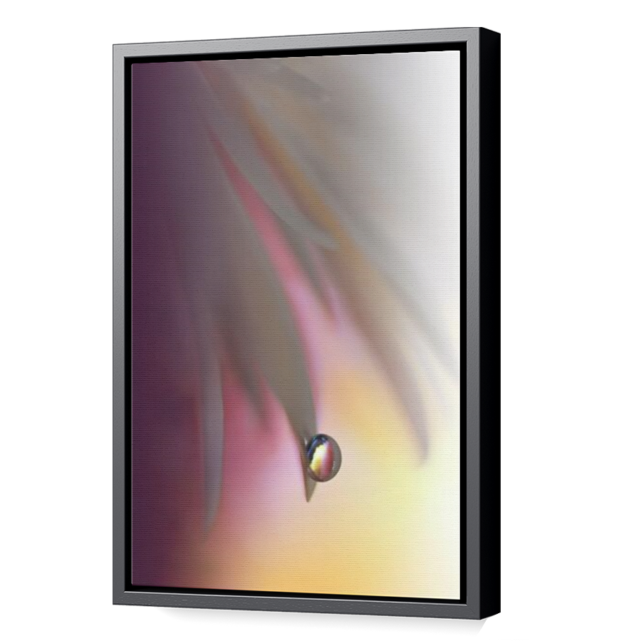 Thumbnail for Canvas - Black Floating Frame