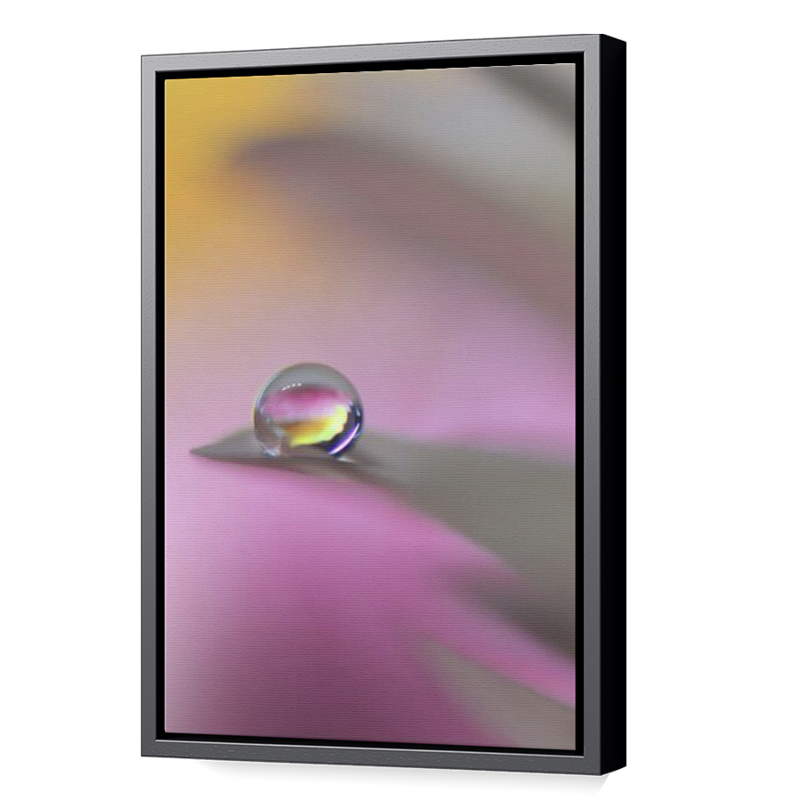 Thumbnail for Canvas - Black Floating Frame