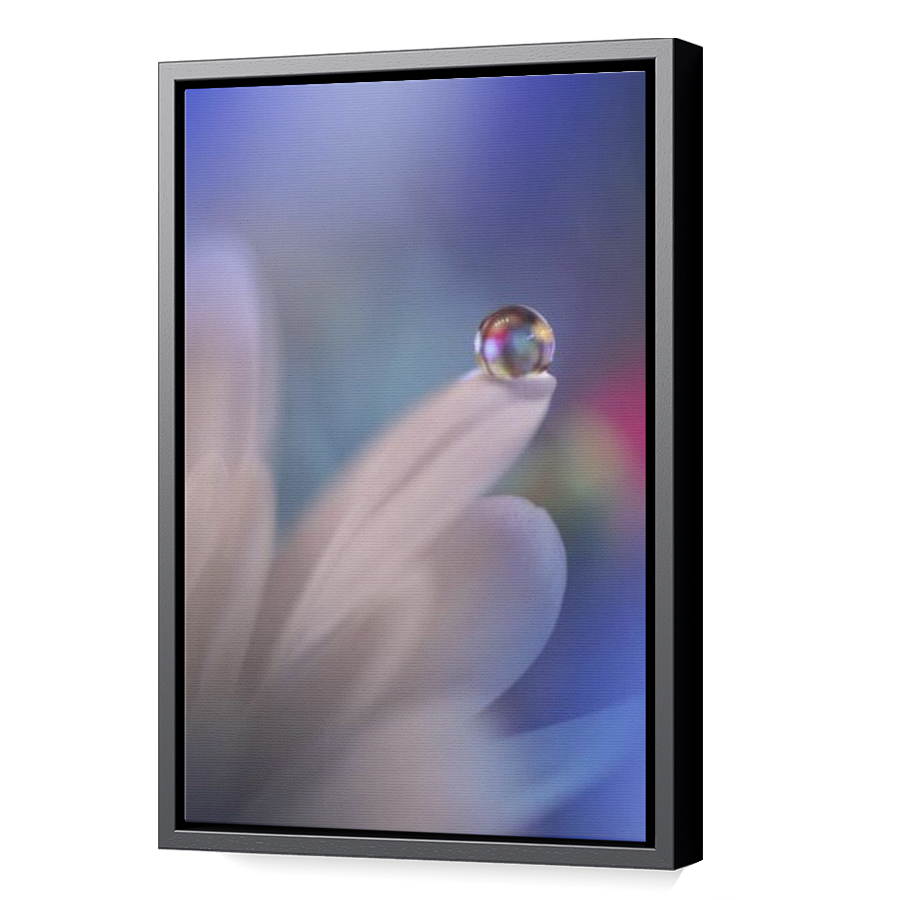 Thumbnail for Canvas - Black Floating Frame