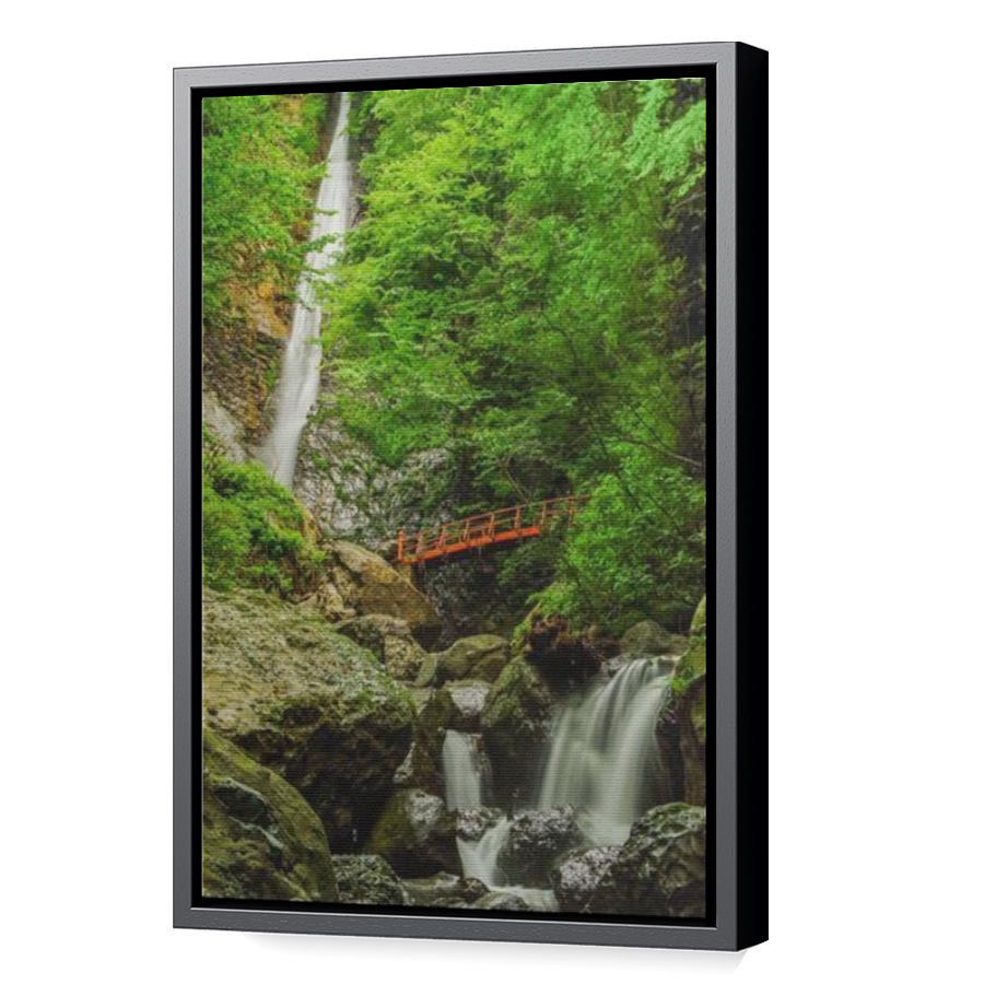 Thumbnail for Canvas - Black Floating Frame