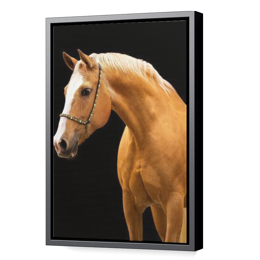 Thumbnail for Canvas - Black Floating Frame