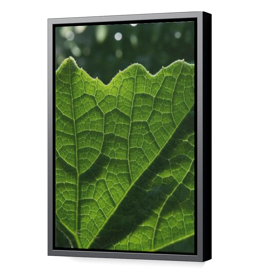 Thumbnail for Canvas - Black Floating Frame