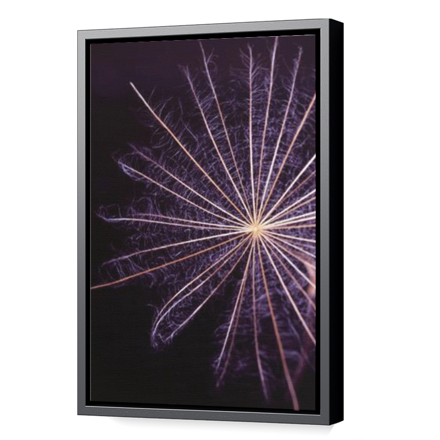 Thumbnail for Canvas - Black Floating Frame
