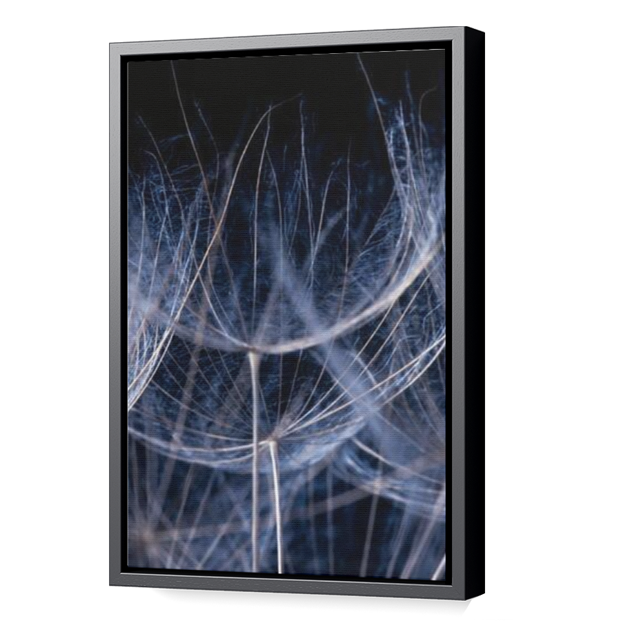 Thumbnail for Canvas - Black Floating Frame