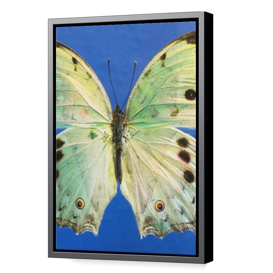 Thumbnail for Canvas - Black Floating Frame