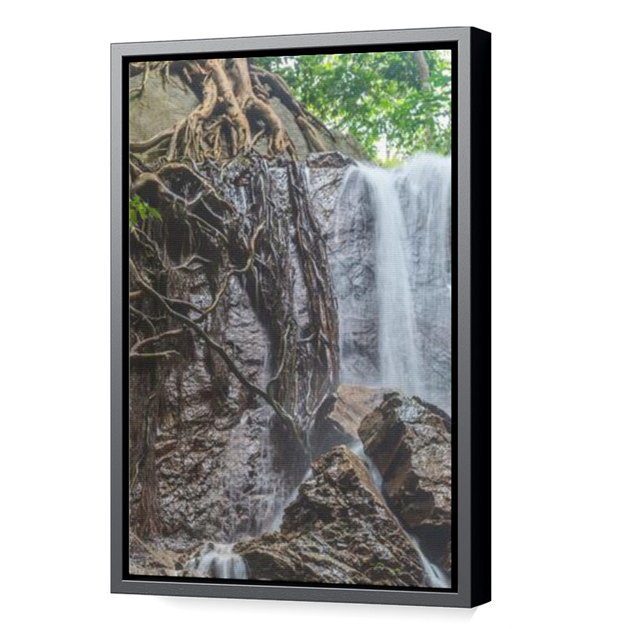 Thumbnail for Canvas - Black Floating Frame