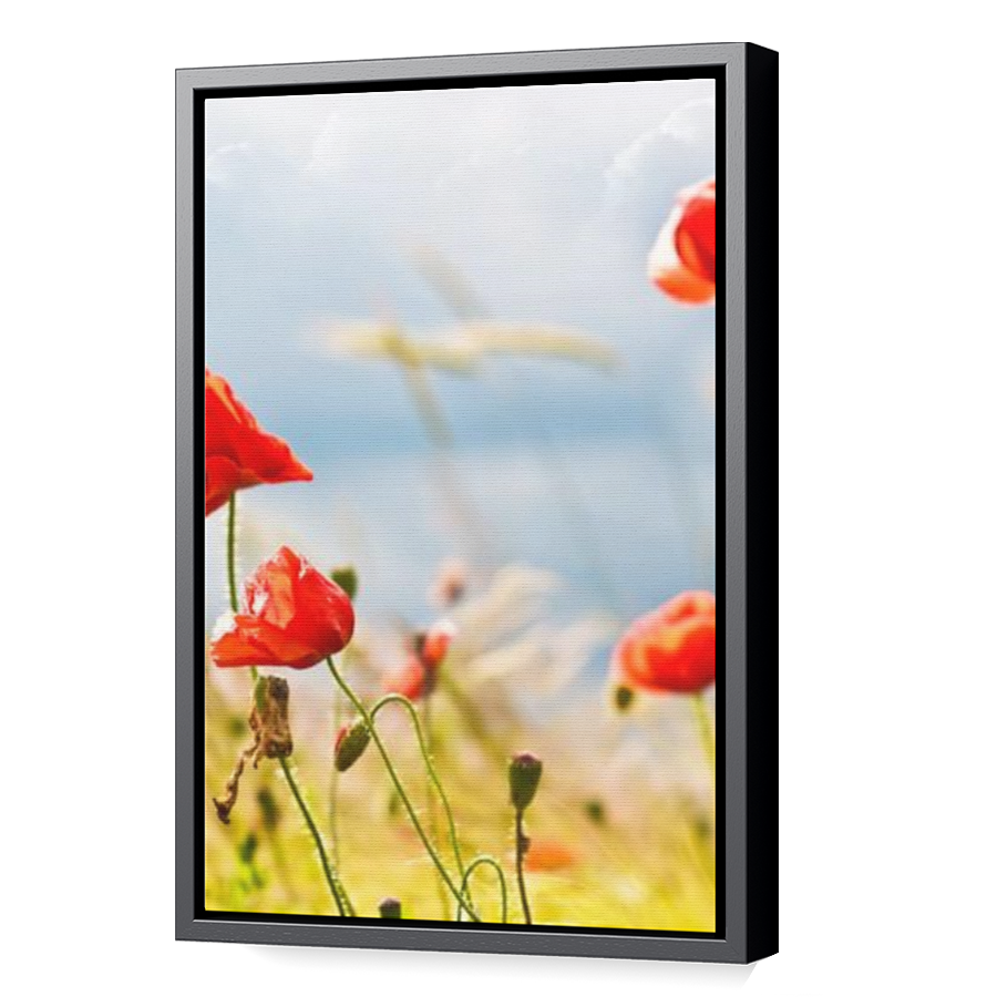 Thumbnail for Canvas - Black Floating Frame