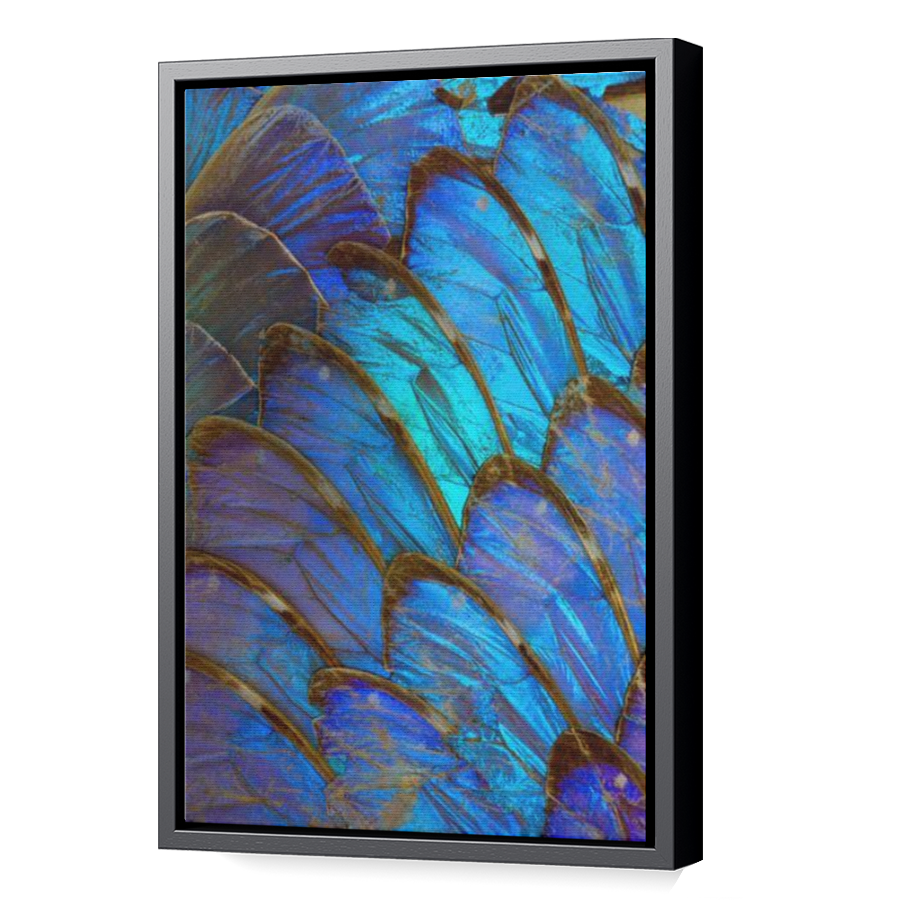 Thumbnail for Canvas - Black Floating Frame