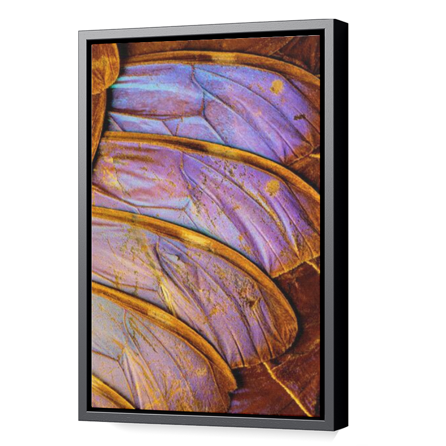 Thumbnail for Canvas - Black Floating Frame