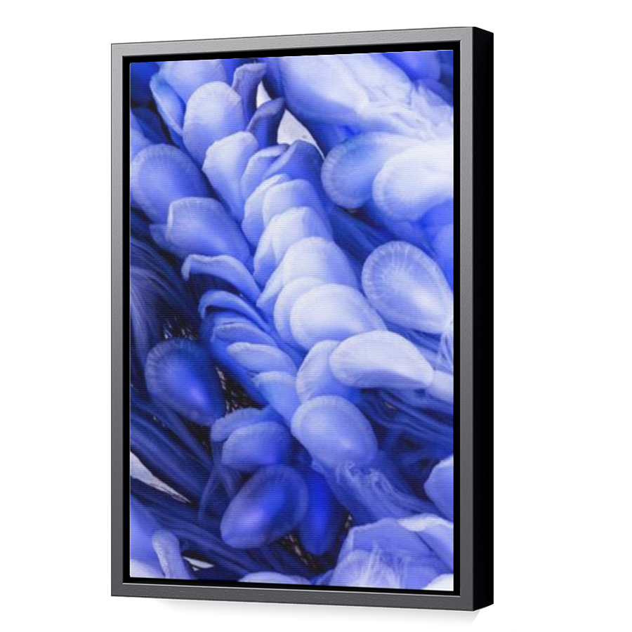 Thumbnail for Canvas - Black Floating Frame