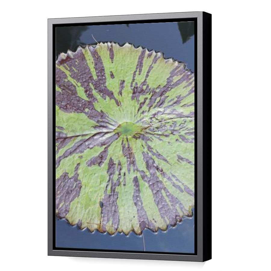 Thumbnail for Canvas - Black Floating Frame