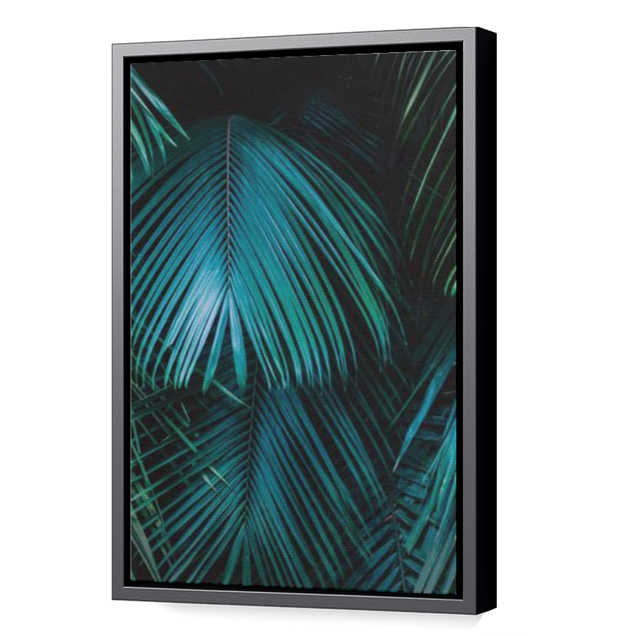 Thumbnail for Canvas - Black Floating Frame
