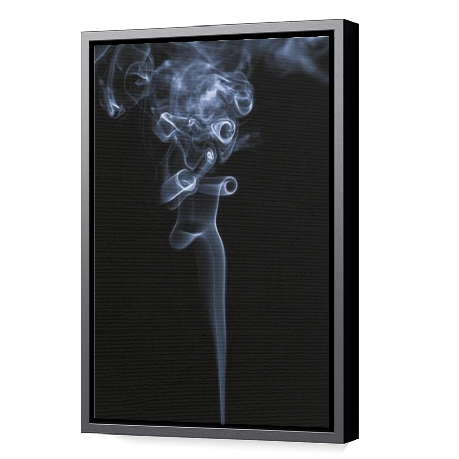 Thumbnail for Canvas - Black Floating Frame