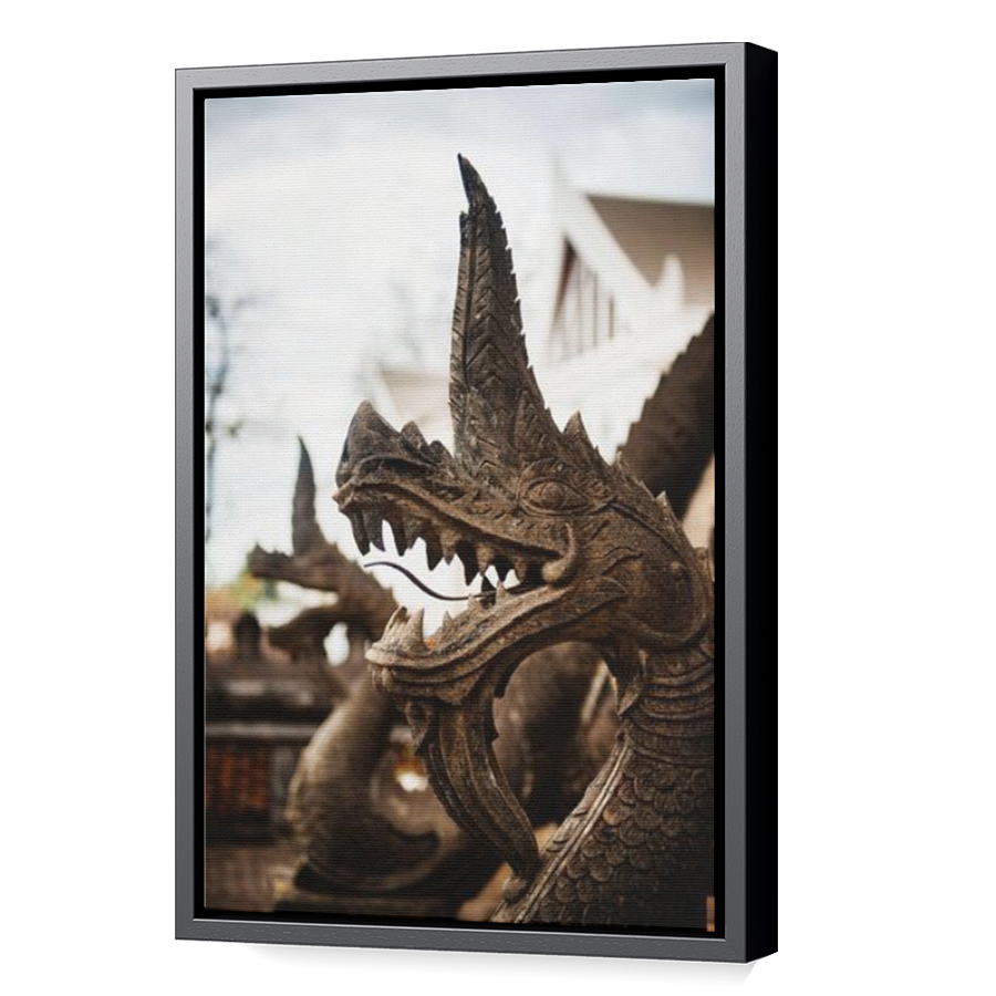 Thumbnail for Canvas - Black Floating Frame