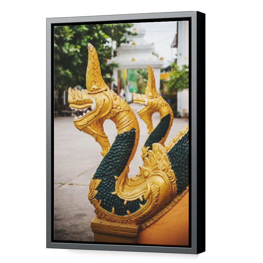 Thumbnail for Canvas - Black Floating Frame