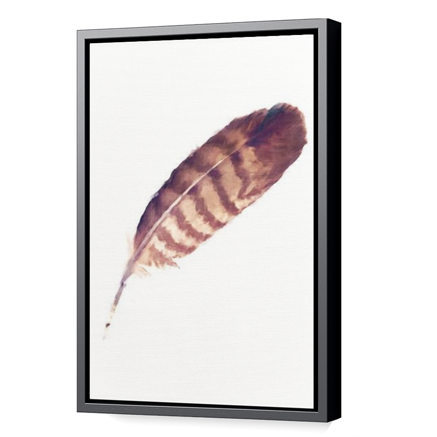 Thumbnail for Canvas - Black Floating Frame