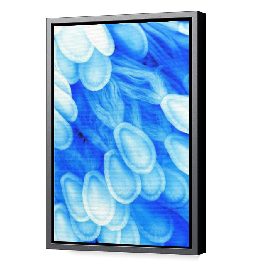 Thumbnail for Canvas - Black Floating Frame