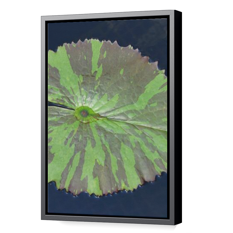 Thumbnail for Canvas - Black Floating Frame