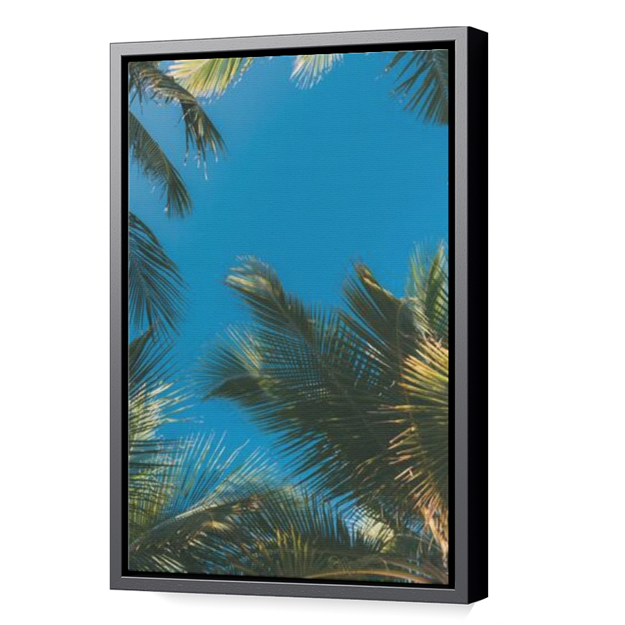 Thumbnail for Canvas - Black Floating Frame