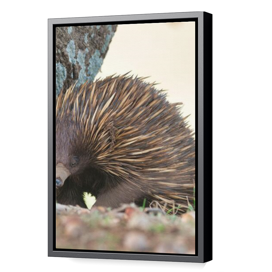 Thumbnail for Canvas - Black Floating Frame