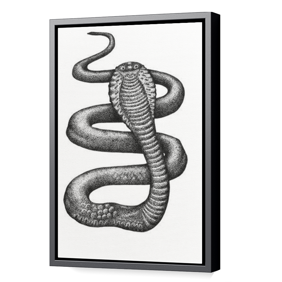 Thumbnail for Canvas - Black Floating Frame