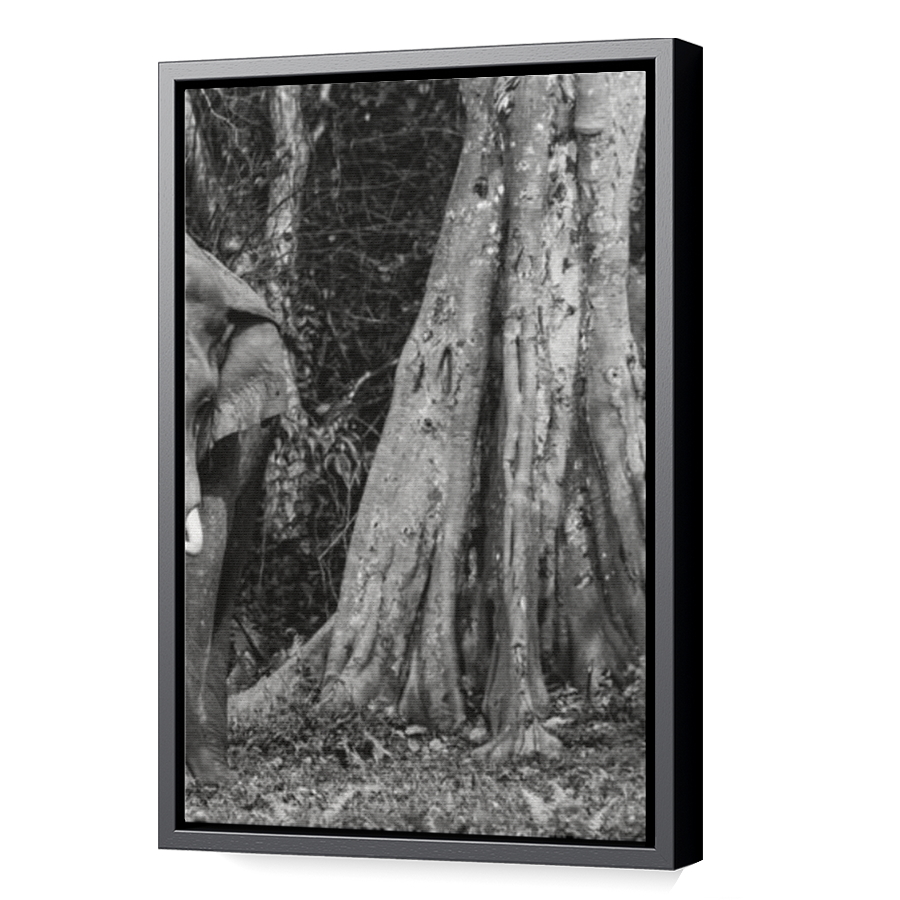 Thumbnail for Canvas - Black Floating Frame