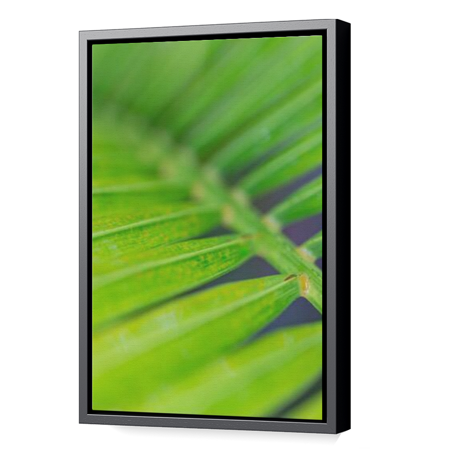 Thumbnail for Canvas - Black Floating Frame