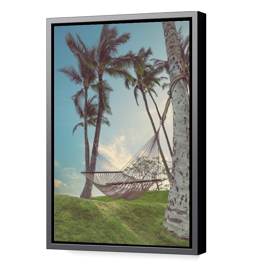 Thumbnail for Canvas - Black Floating Frame