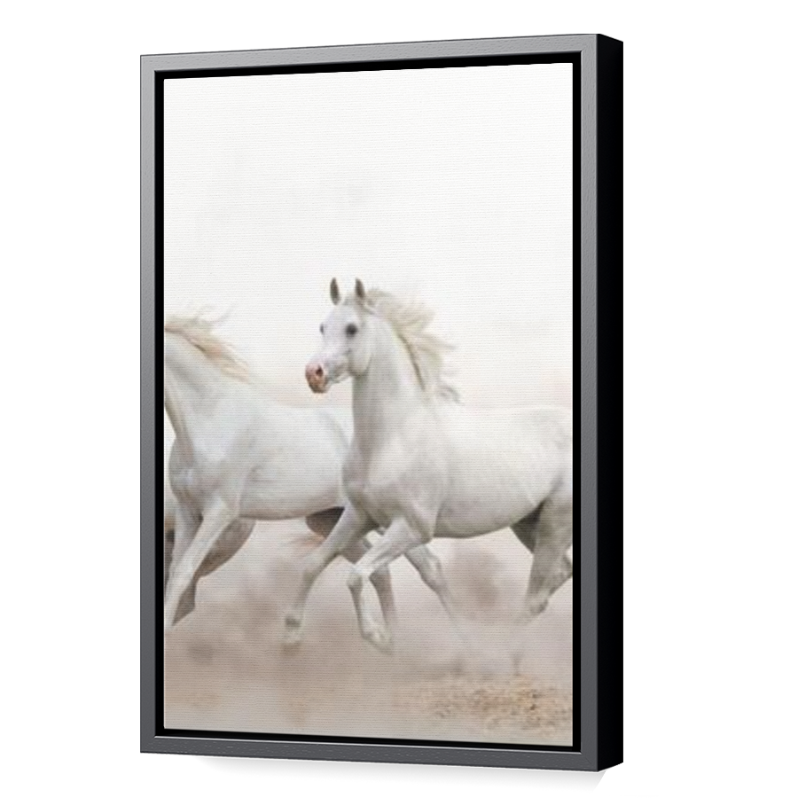 Thumbnail for Canvas - Black Floating Frame