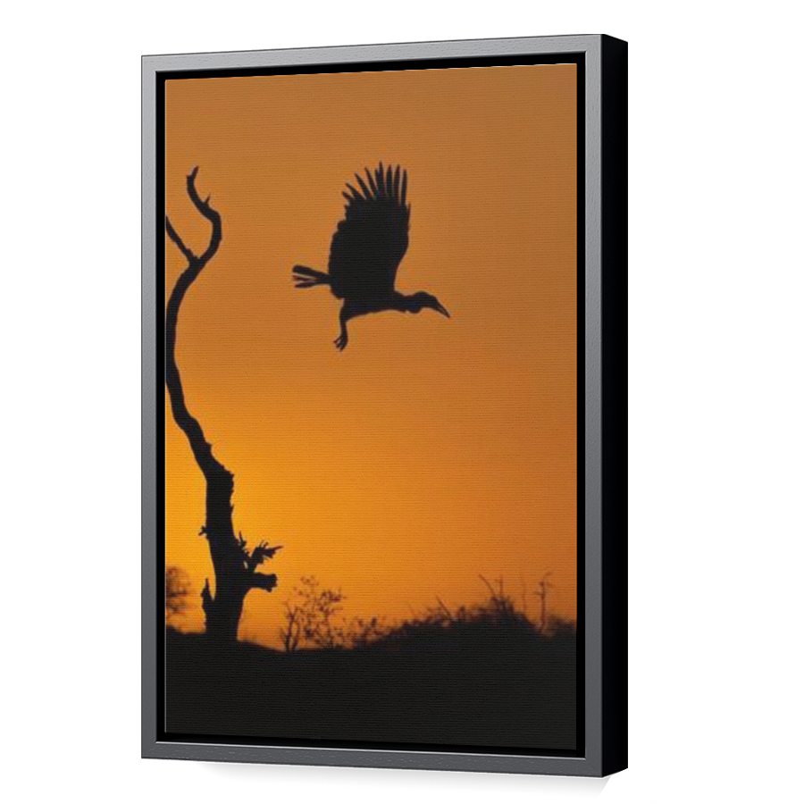 Thumbnail for Canvas - Black Floating Frame