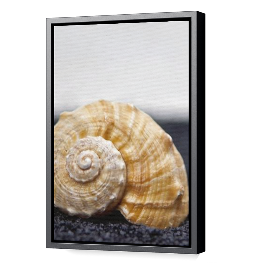 Thumbnail for Canvas - Black Floating Frame