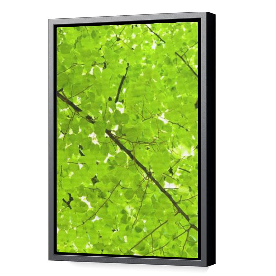 Thumbnail for Canvas - Black Floating Frame