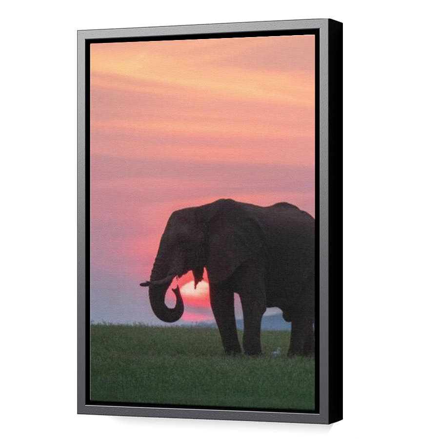 Thumbnail for Canvas - Black Floating Frame