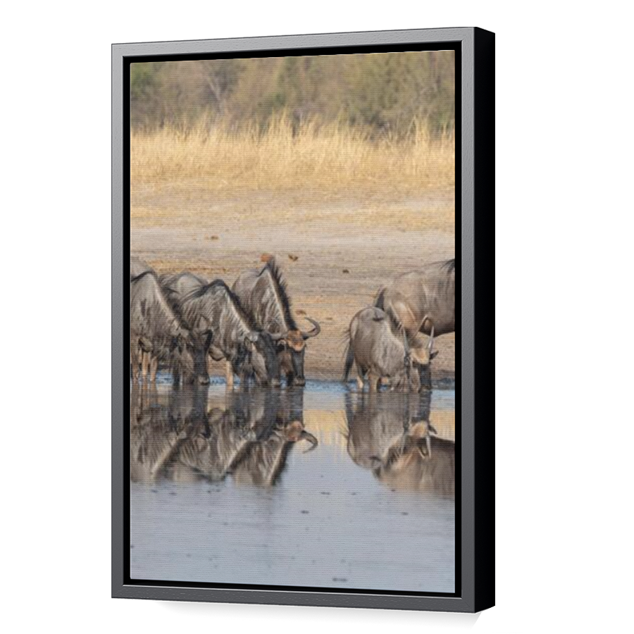 Thumbnail for Canvas - Black Floating Frame