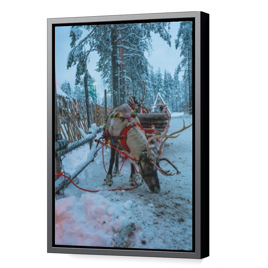 Thumbnail for Canvas - Black Floating Frame