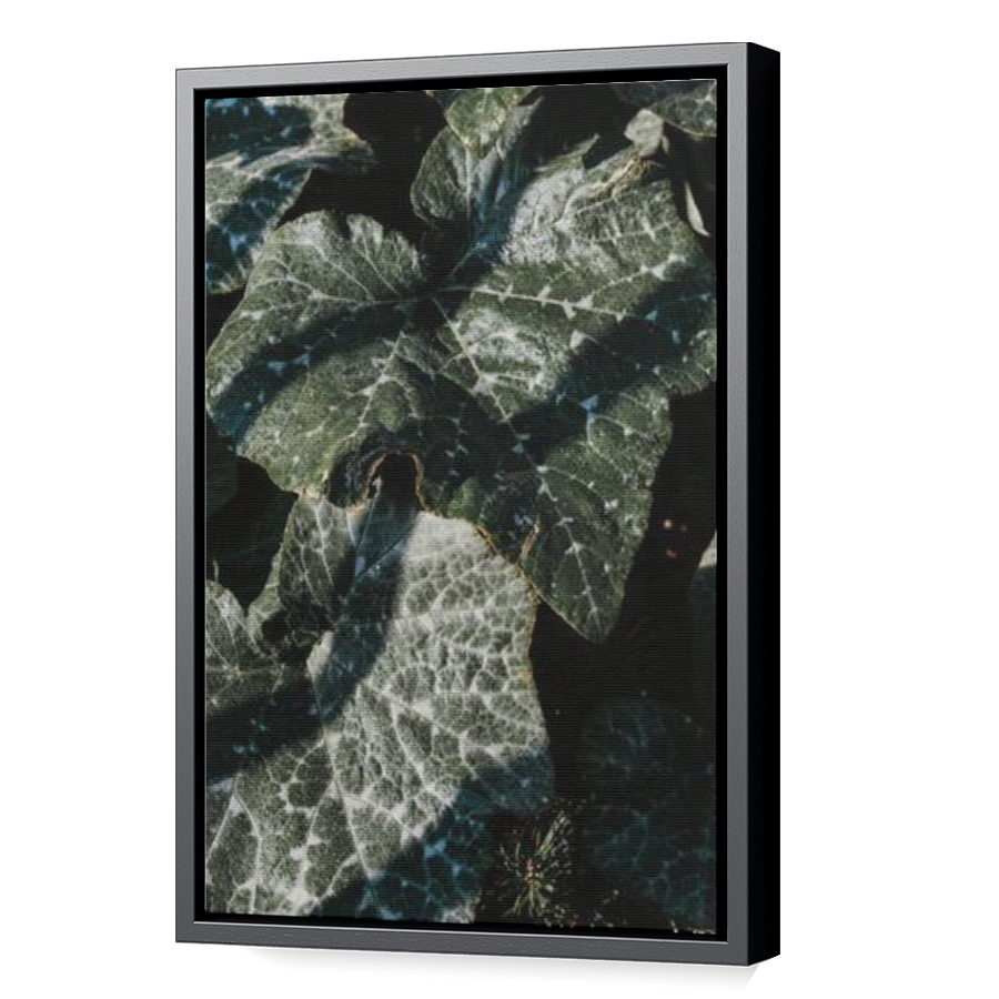 Thumbnail for Canvas - Black Floating Frame