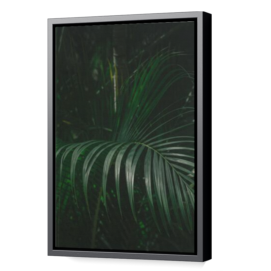 Thumbnail for Canvas - Black Floating Frame