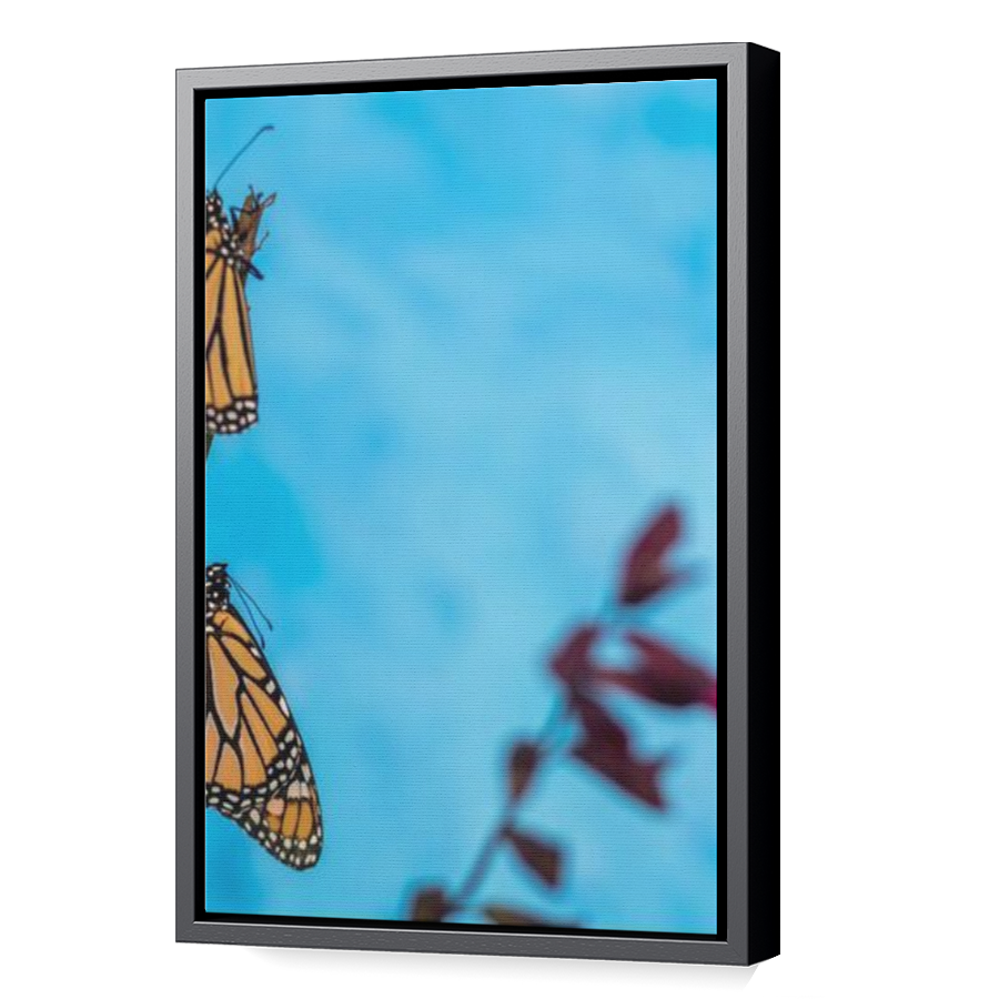 Thumbnail for Canvas - Black Floating Frame