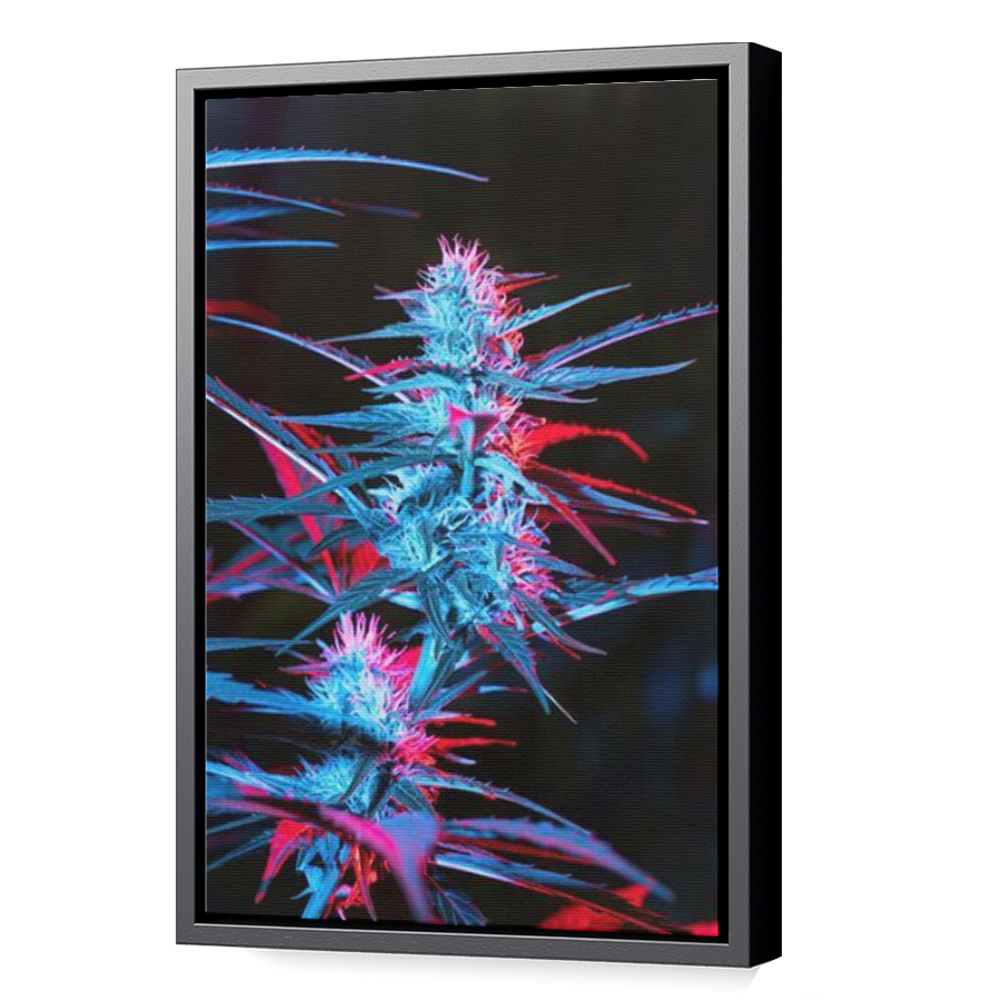 Thumbnail for Canvas - Black Floating Frame