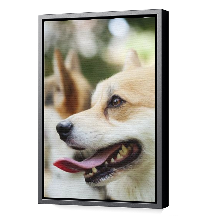 Thumbnail for Canvas - Black Floating Frame