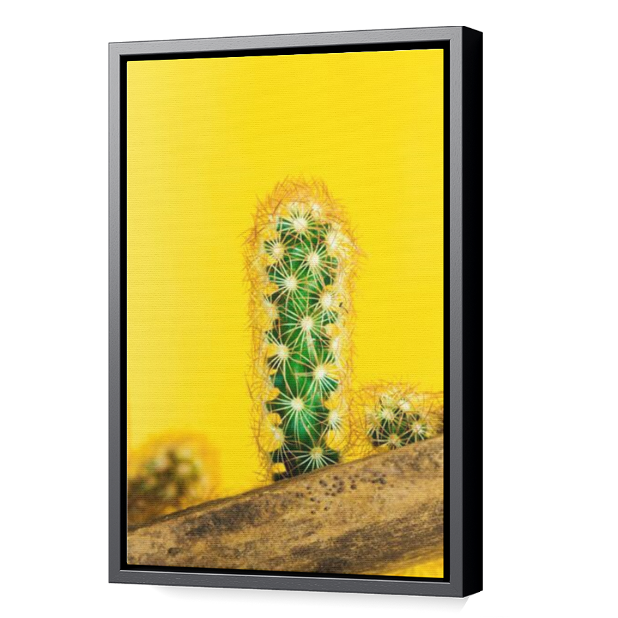 Thumbnail for Canvas - Black Floating Frame