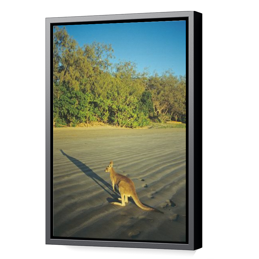 Thumbnail for Canvas - Black Floating Frame