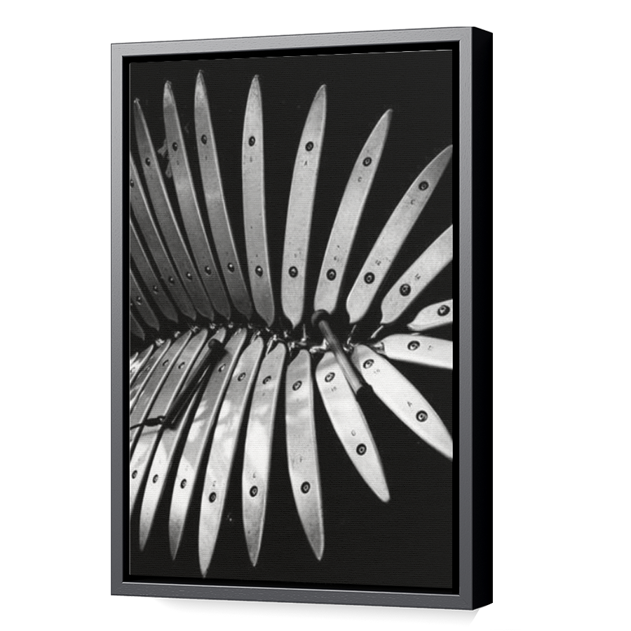 Thumbnail for Canvas - Black Floating Frame