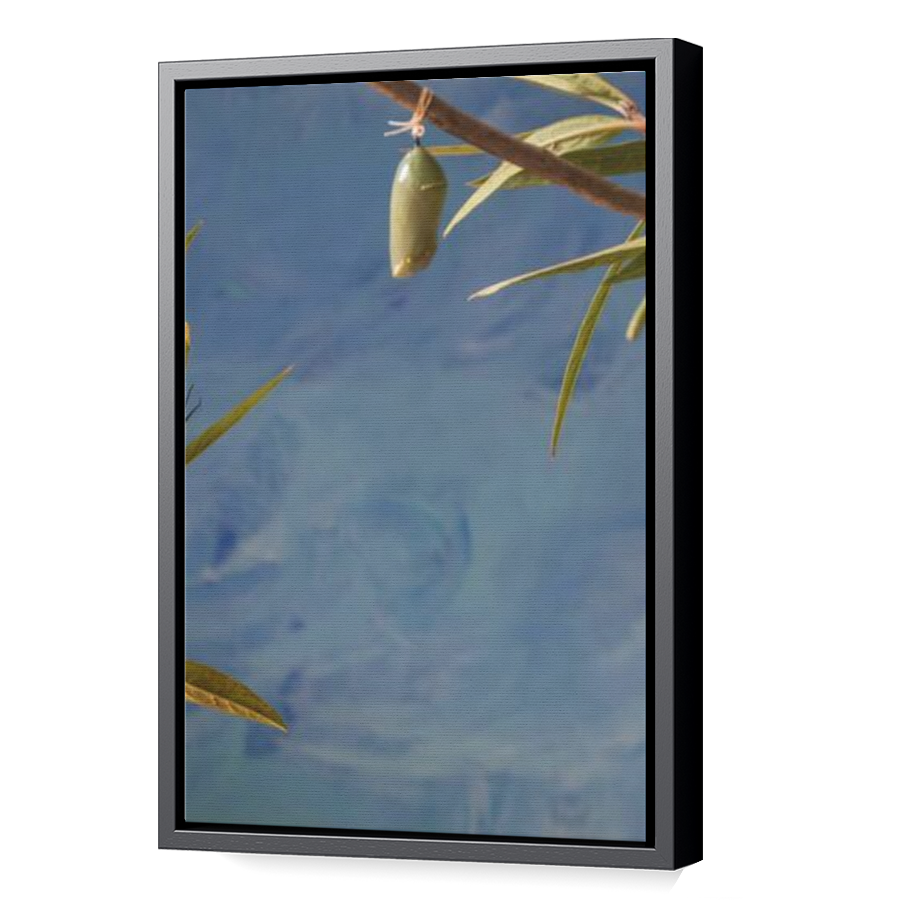 Thumbnail for Canvas - Black Floating Frame